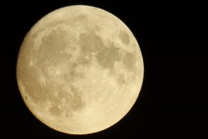 クレカの高還元率で分割手数料0のメリットは？