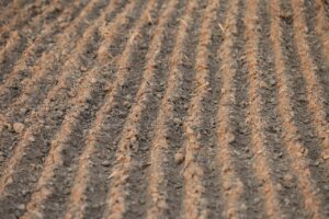 年会費無料で利用できる高還元クレジットカードの選び方は？