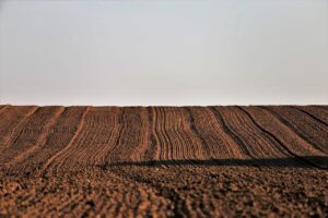 還元率を最大化するための積算ポイントの活用法は？
